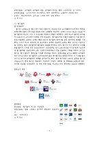 [국제마케팅전략] 코카콜라, 펩시의 인도시장 전략-4