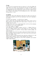 [국제마케팅전략] 코카콜라, 펩시의 인도시장 전략-8