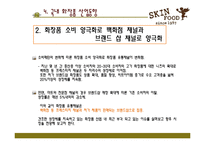 [촉진전략] 스킨 푸드 광고전략-11
