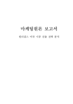 [국제마케팅] 원더걸스 미국 시장 진출 전략 분석-1