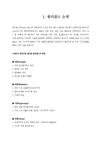 [국제마케팅] 원더걸스 미국 시장 진출 전략 분석-3