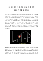 [국제마케팅] 원더걸스 미국 시장 진출 전략 분석-4