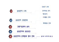 삼성전자의 국제경영전략-2