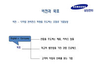 삼성전자의 국제경영전략-8