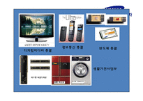 삼성전자의 국제경영전략-10