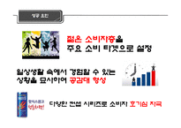 [촉진전략] 핫식스 HOT6 광고전략 성공사례-14