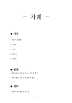세종대왕의 과학기술 발전과 경제효과-2