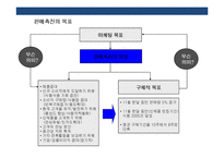 세일즈 프로모션의 이해 및 성공&실패 사례-12