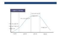 세일즈 프로모션의 이해 및 성공&실패 사례-20
