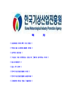 [한국기상산업진흥원-최신공채합격자기소개서]한국기상산업진흥원자기소개서자소서,자소서자기소개서,기상산업진흥원자소서,합격자기소개서,한국기상산업진흥원자기소개서자소서-2