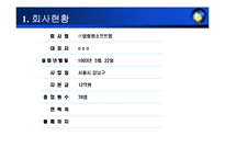 erp 사업계획서 레포트-3