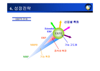 erp 사업계획서 레포트-9