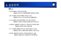 erp 사업계획서 레포트-10