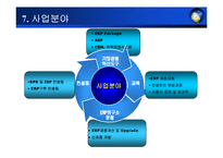erp 사업계획서 레포트-11