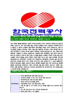 [한국전력공사-최신공채사원합격자기소개서]한국전력공사자기소개서자소서,한국전력자소서자기소개서,한국전력공사자소서,합격자기소개서,한국전력공사-5