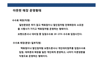 패션 아웃렛 홍보·마케팅 전략 기획서-6