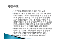 애견산업 레포트-12