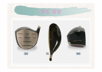 골프의 정의와 역사-19