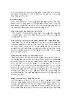ZARA 4p분석 레포트-5