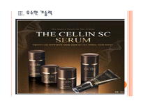 [한국콜마 기업분석] 한국콜마 경영전략분석-해외시장진출 PPT자료-11