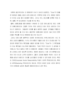 유니레버코리아의 성공적인 광고 사례-11