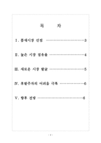 [삼성SDI 기업분석] 삼성SDI 성공요인분석 보고서-2