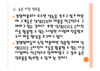 [삼성SDI 기업분석] 삼성SDI 성공요인분석 PPT자료-10