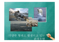 독일, 프라이부르크 친환경 도시 사례-2