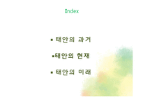 태안 반도 기름 유출 사건 고찰-2