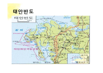 태안 반도 기름 유출 사건 고찰-5