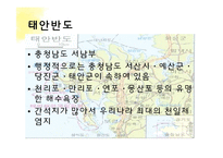 태안 반도 기름 유출 사건 고찰-6