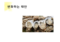 태안 반도 기름 유출 사건 고찰-10