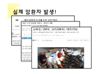 태안 반도 기름 유출 사건 고찰-14