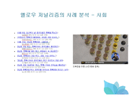 인터넷 속 옐로우 저널리즘(Yellow Journalism) 사례-14