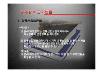 SSM(기업형 슈퍼마켓)규제정책 고찰-8