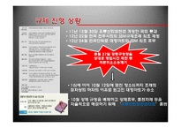 SSM(기업형 슈퍼마켓)규제정책 고찰-10