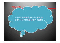SSM(기업형 슈퍼마켓)규제정책 고찰-17