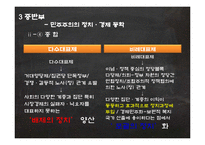 다수제 민주주의, 합의제 민주주의 비교분석-12
