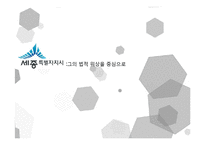 세종시 법적 위상 논란-1