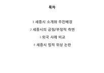 세종시 법적 위상 논란-2