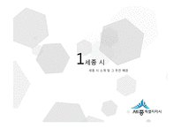 세종시 법적 위상 논란-3