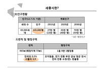 세종시 법적 위상 논란-5