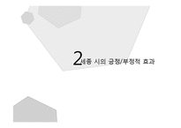 세종시 법적 위상 논란-8