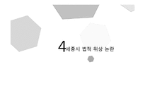 세종시 법적 위상 논란-17