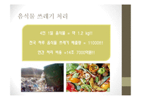 식량(음식물)쓰레기 실태 조사-13