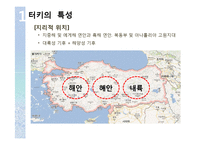 터키 음식문화의 특징 조사-5