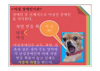 여성 장애인의 현황과 문제점 고찰-6
