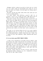 영화 속 아프리카 이야기-분쟁과 내전-6