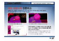 SNS 마케팅 성공사례-7