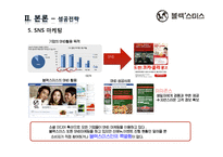 블랙스미스 SWOT분석, 4P전략, 문제점 및 개선방안-19